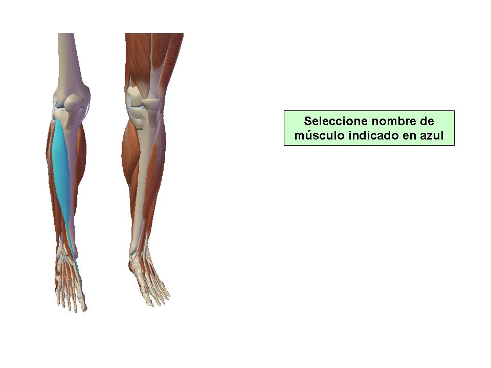 Para obtener chuleta presione aca.