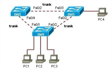 CCNA Lan Chapter #5