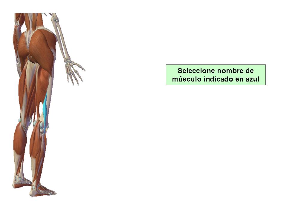 Para obtener chuleta presione aca.