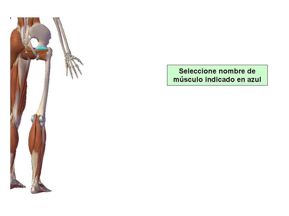 Para obtener chuleta presione aca.