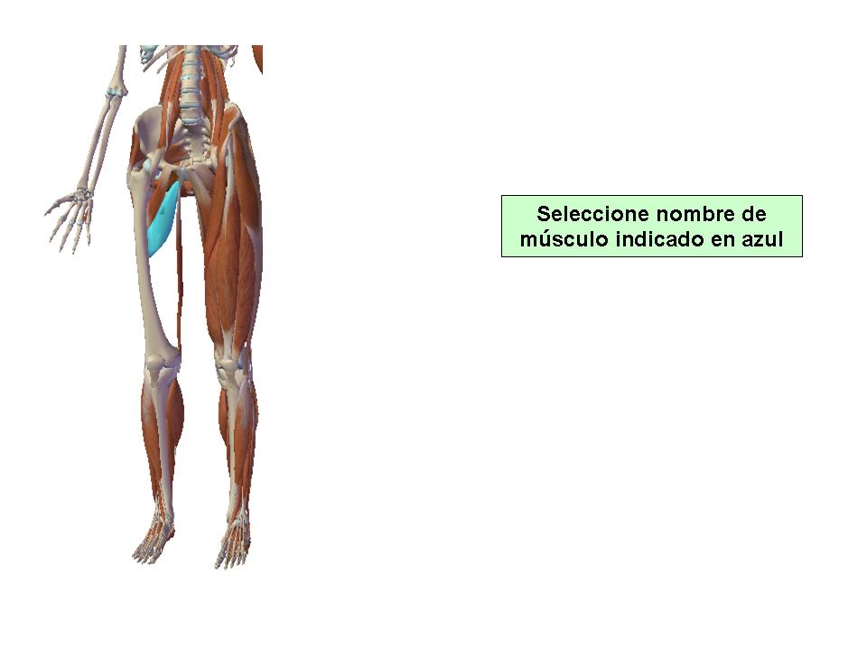 Para obtener chuleta presione aca.