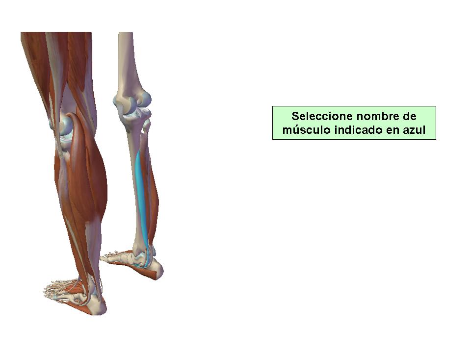 Para obtener chuleta presione aca.