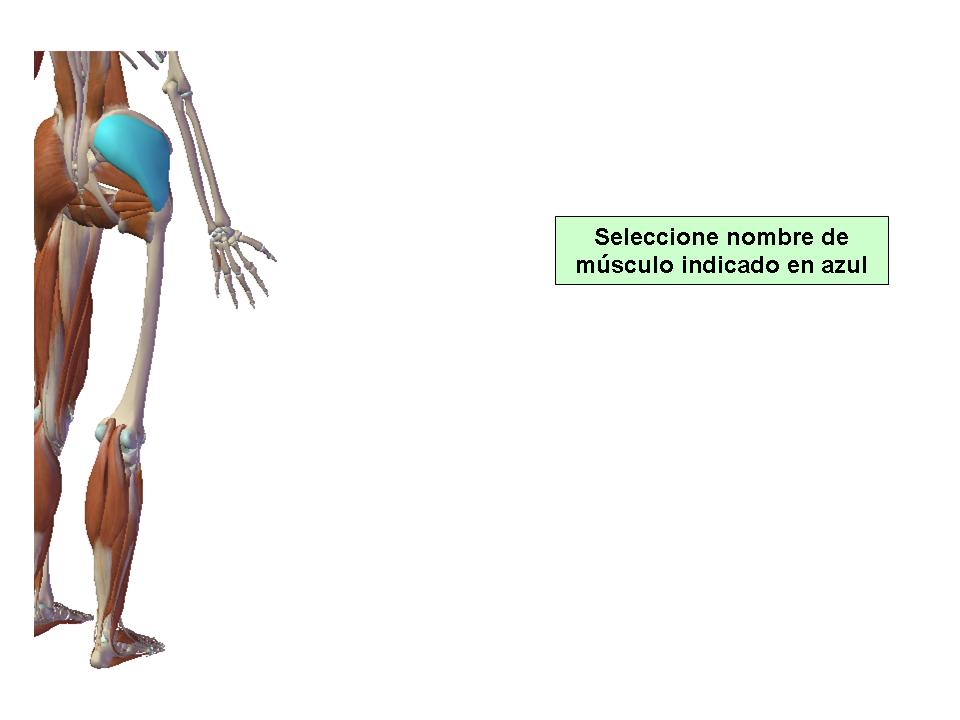 Para obtener chuleta presione aca.