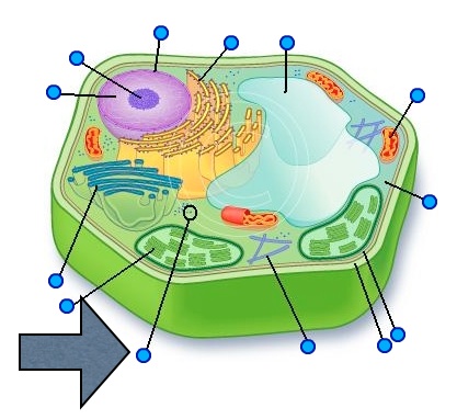 Image: https://www.proprofs.com/quiz-school/upload/yuiupload/166304422.jpg