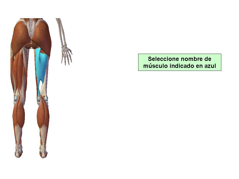 Para obtener chuleta presione aca.