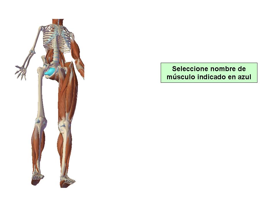 Para obtener chuleta presione aca.