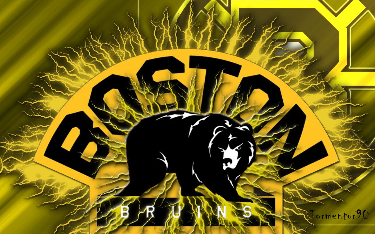 The Boston Bruins Logo