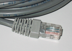 Network+  Cables, Connectors Madness - Quiz
