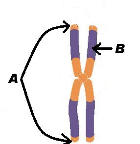 John Glenn Genetics Test