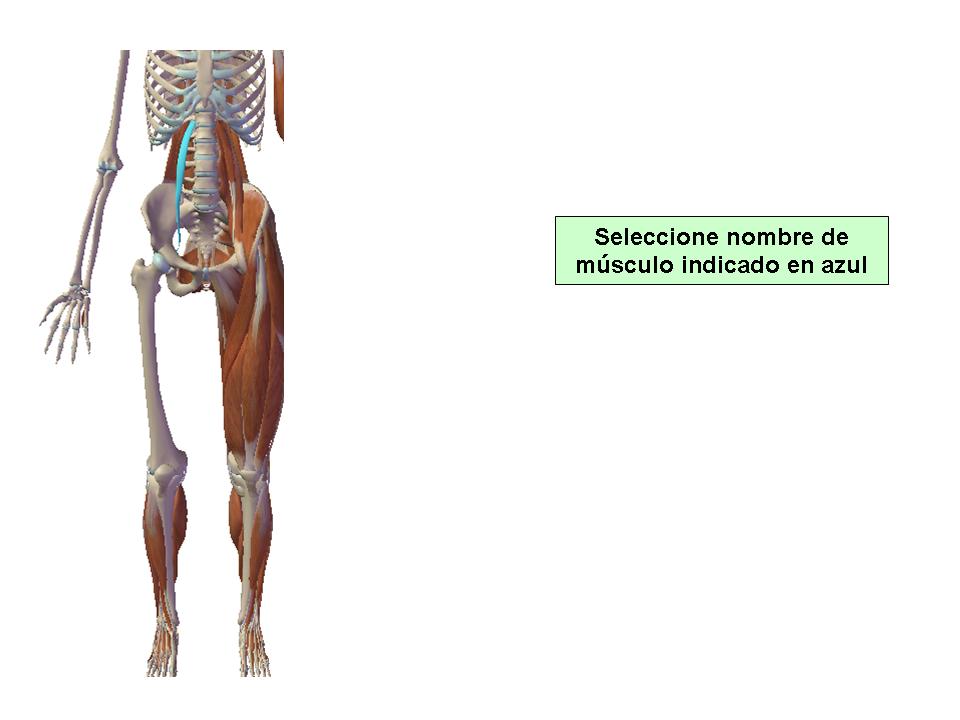 Para obtener chuleta presione aca.