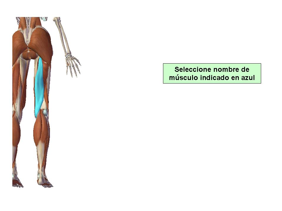 Para obtener chuleta presione aca.