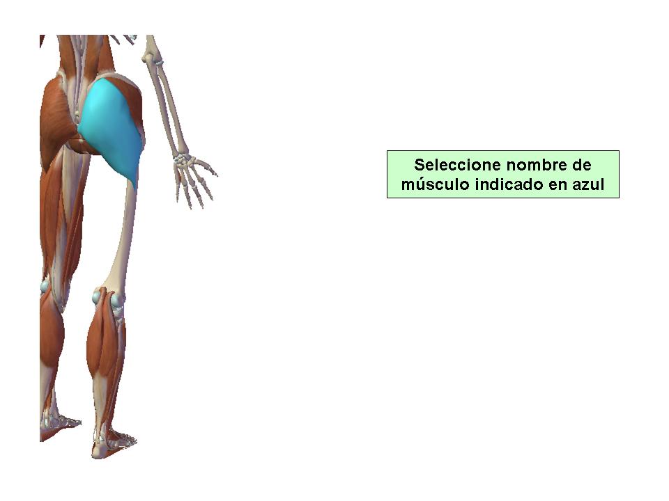 Para obtener chuleta presione aca.