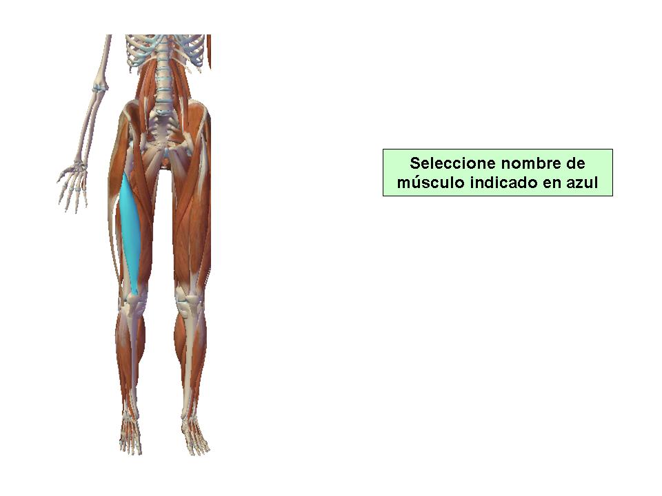 Para obtener chuleta presione aca.