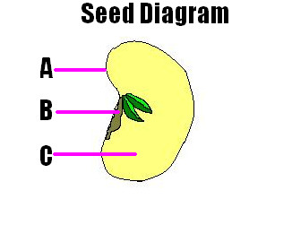 John Glenn Plant Test