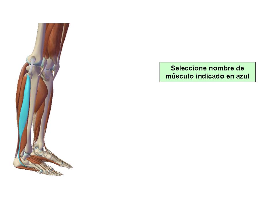 Para obtener chuleta presione aca.