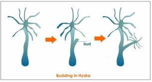 Science Form 3 Chapter 4 And 5 (Revision)