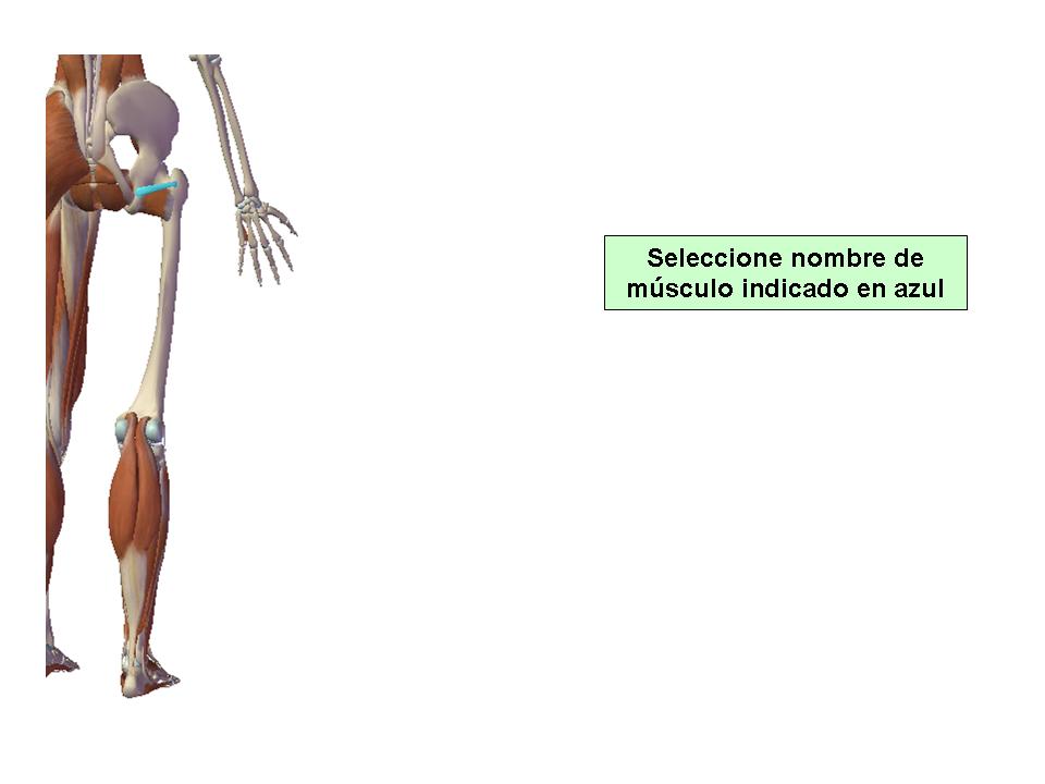 Para obtener chuleta presione aca.