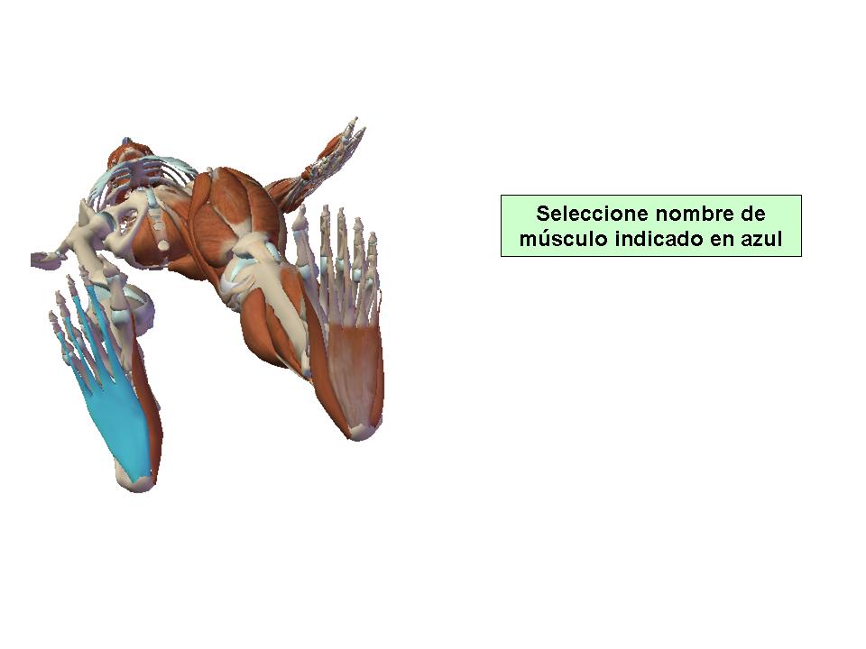Para obtener chuleta presione aca.