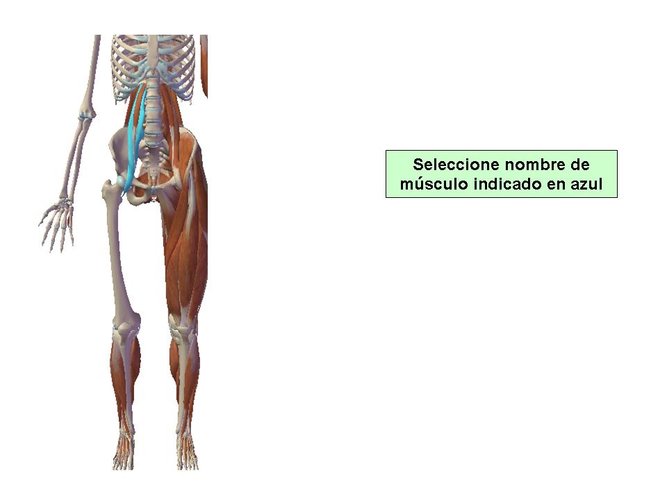 Para obtener chuleta presione aca.