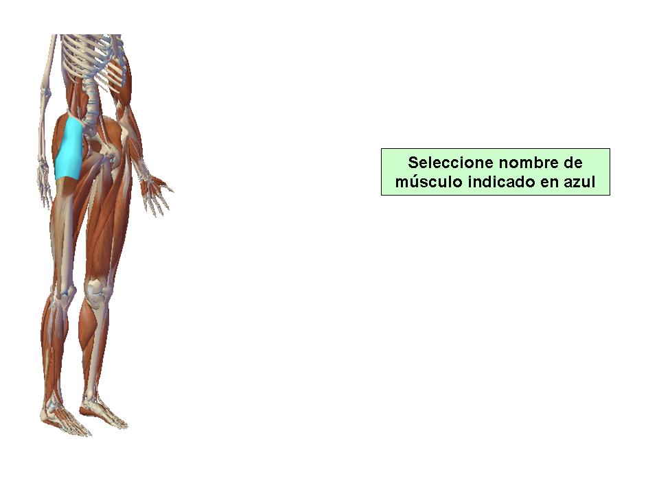 Para obtener chuleta presione aca.