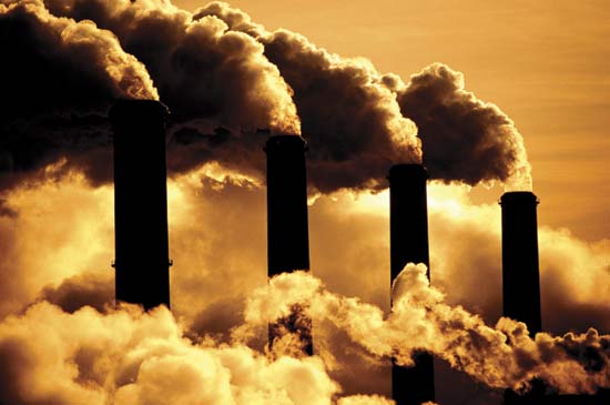 How Much Do You Know About Fossil Fuels-the Polluters?