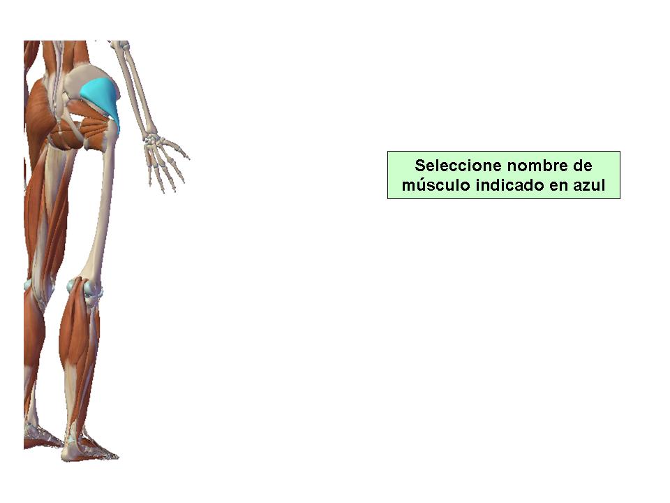 Para obtener chuleta presione aca.