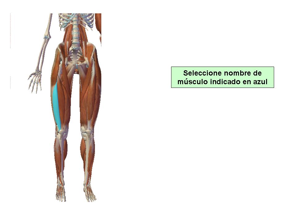 Para obtener chuleta presione aca.