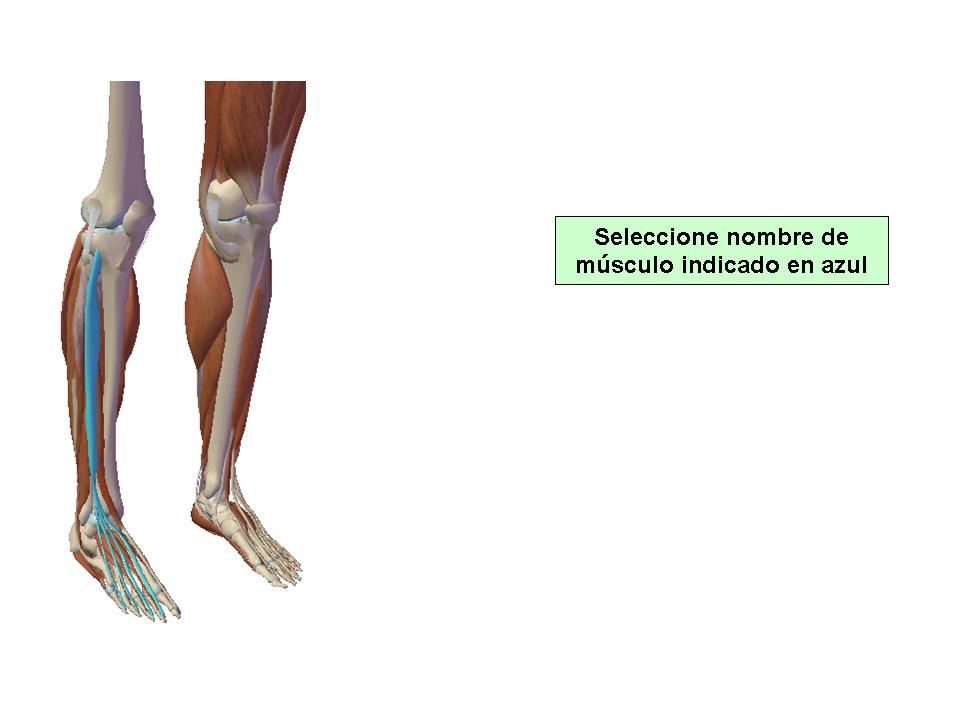 Para obtener chuleta presione aca.