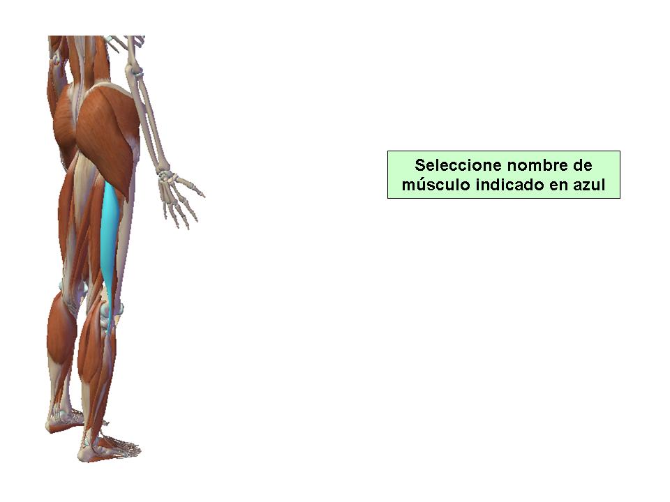 Para obtener chuleta presione aca.