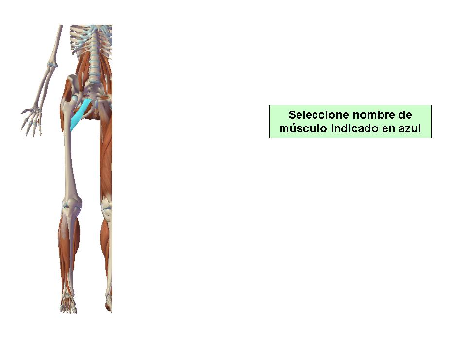 Para obtener chuleta presione aca.