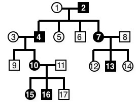 03 Mendel Revisited - Quiz