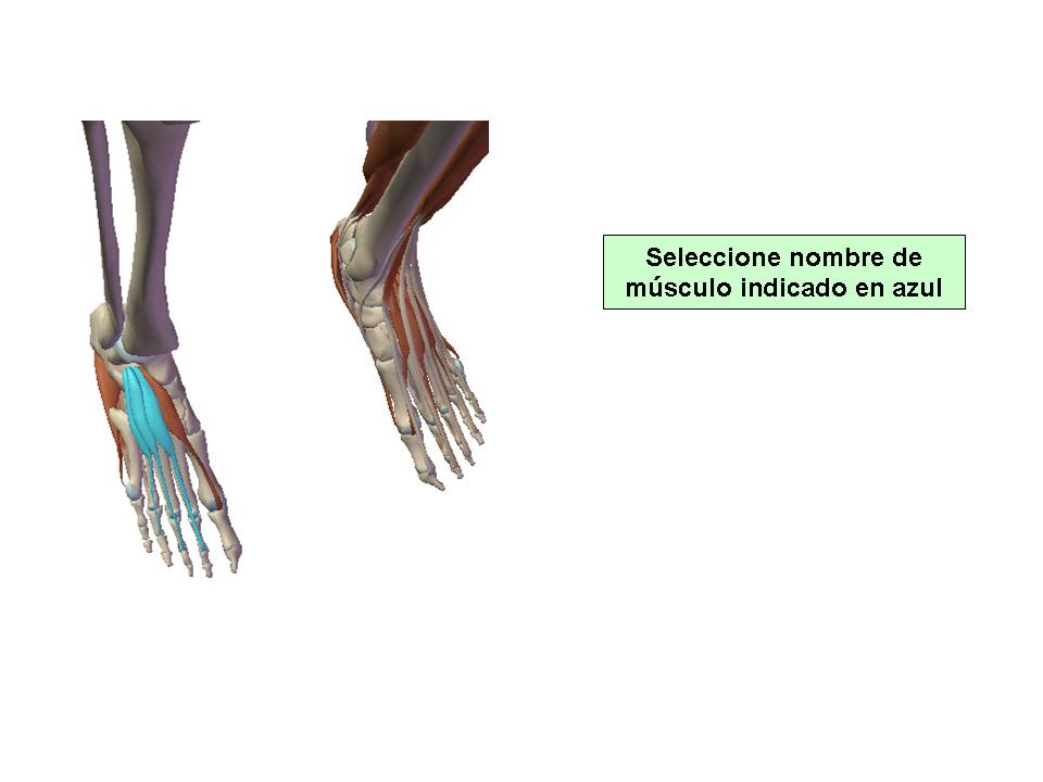 Para obtener chuleta presione aca.