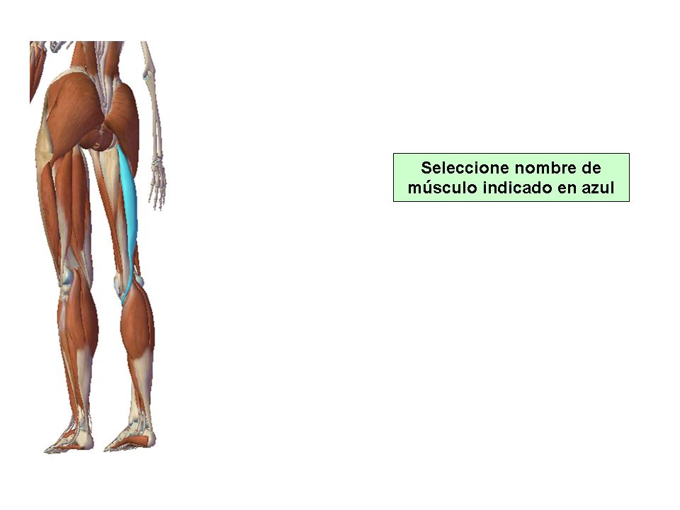 Para obtener chuleta presione aca.