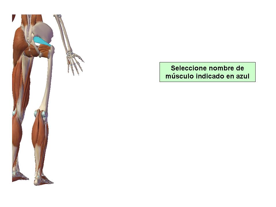 Para obtener chuleta presione aca.