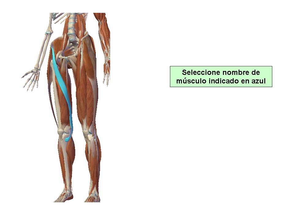 Para obtener chuleta presione aca.