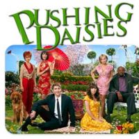 Pushing Daisies - 1x02 - "Dummy" Quiz - Quiz