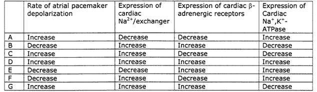 Semester 2 - Endocryn System - Thyroid Gland