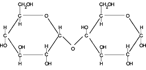 Disaccharide - Flashcard