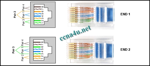 CCNA Chapter 10 Test